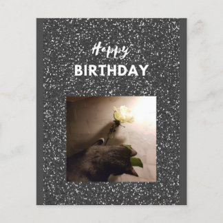 Feliz aniversário. Tuxedo gato com rosa.