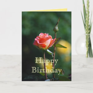 Feliz Apricot de aniversário e Cartão Rosa Amarelo