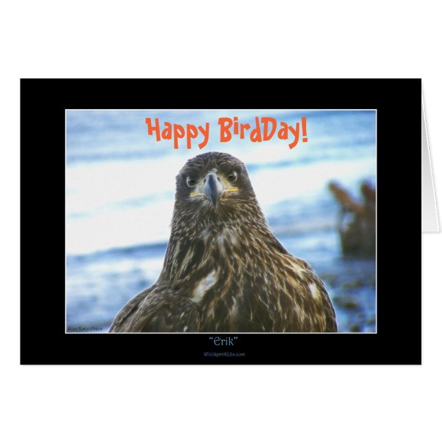 Feliz BirdDay! Cartão de Saudação Bald Eagle (Frente horizontal)