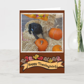 Feliz cartão de Ação de Graças