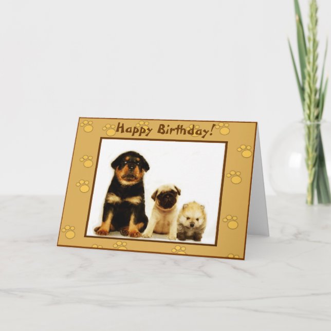 Feliz Cartão de Aniversário (Frente)