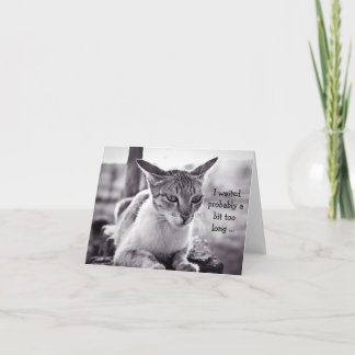 Feliz Cartão de Aniversário (atrasado): Gato Esper