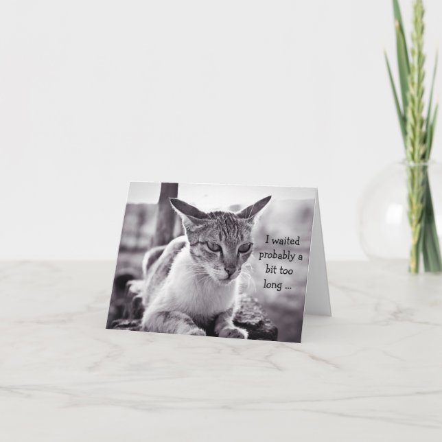 Feliz Cartão de Aniversário (atrasado): Gato Esper (Frente)