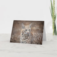 Feliz Cartão de Aniversário Bobcat