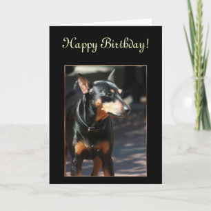 Feliz Cartão de Aniversário da Miniatura Pinscher