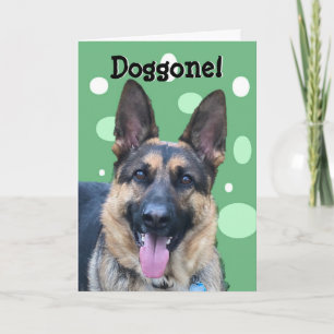 Feliz Cartão de Aniversário Engraçado