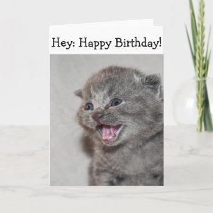 Feliz Cartão de Aniversário: Gatinho-cinza Surpres