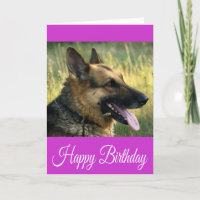 Feliz Cartão de Cachorro de Aniversário do German 