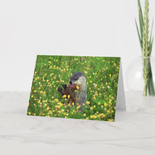 Feliz Cartão de Dia da Marmota!