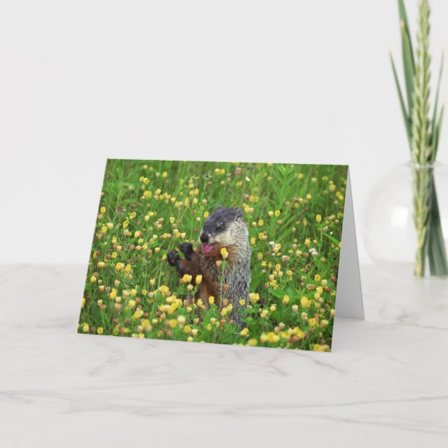 Feliz Cartão de Dia da Marmota! (Frente)