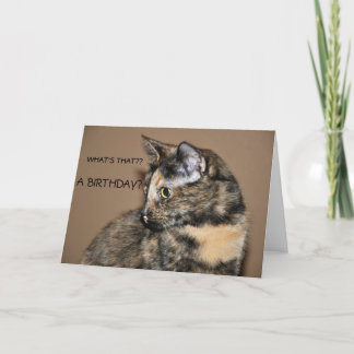 Feliz Cartão de Gatinho de Aniversário