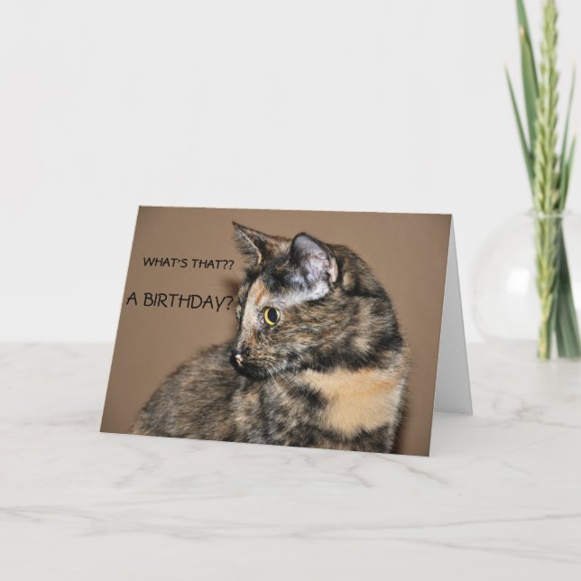 Feliz Cartão de Gatinho de Aniversário (Frente)