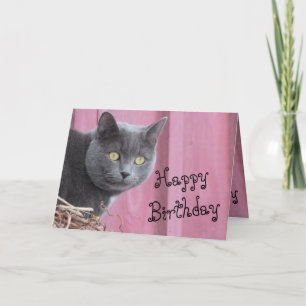 Feliz Cartão de Gato Gatinho de Aniversário