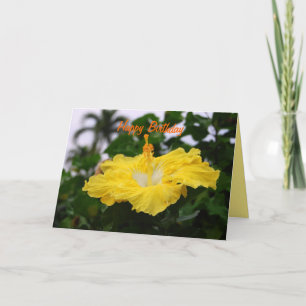 Feliz Cartão de Hibiscus Amarelo de Aniversário Pr
