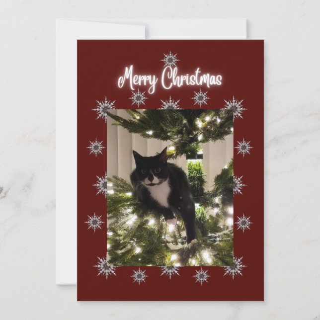 Feliz cartão de Natal com o gato Tuxedo na minha á (Frente)