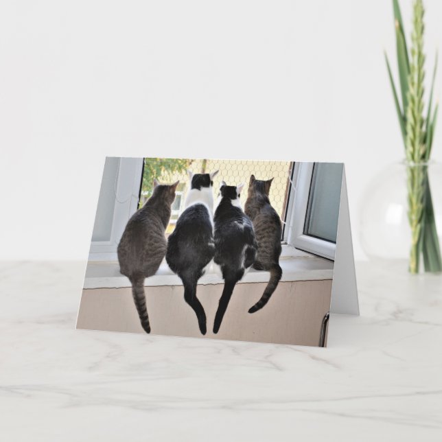 Feliz Cartão de Passagem de Gato de Aniversário (Frente)