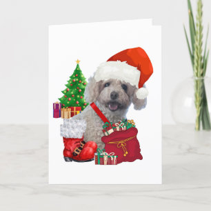 Feliz Cartão de Saudação de Poodle de Natal