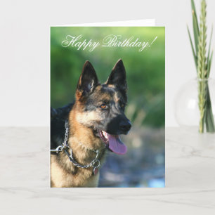 Feliz cartão de saudação do German shepherd de Ani