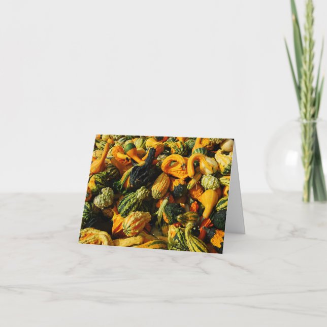 Feliz Colheita - Gourd Cartão Saudável (Frente)