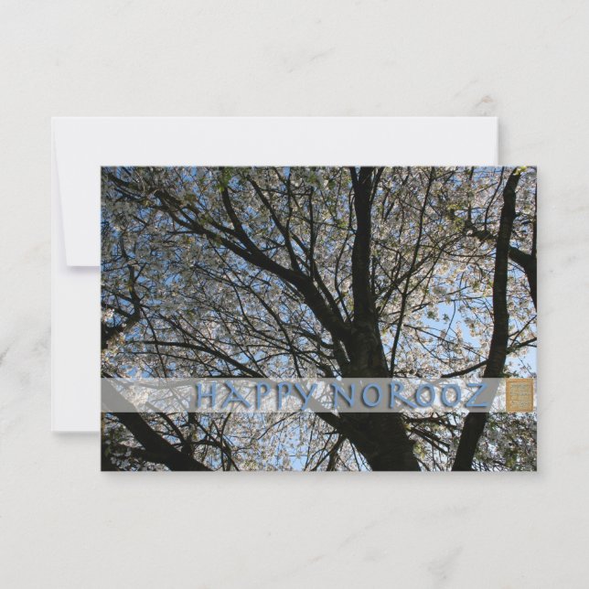 Feliz Convite para Árvore do Blossom de Cereja do  (Frente)