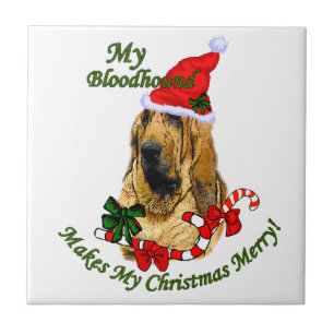 Feliz de Natal de Bloodound