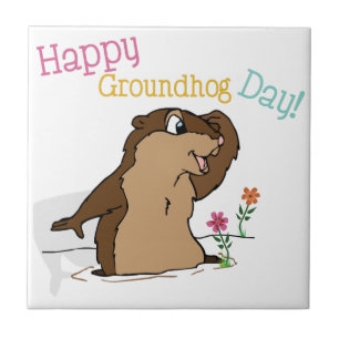 Feliz Dia da Marmota