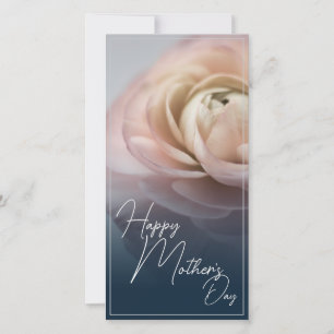 Feliz Dia das Mães com Grande Rosa Rosa