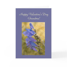 Feliz dia de os namorados, Modelo Vovó