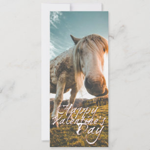 Feliz dia dos namorados com cavalo olhando