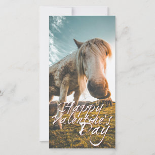 Feliz dia dos namorados com cavalo olhando