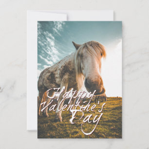 Feliz dia dos namorados com cavalo olhando
