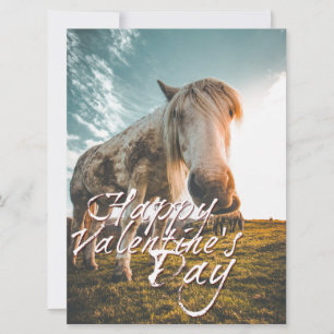Feliz dia dos namorados com cavalo olhando