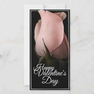 Feliz Dia dos Namorados com rosa rosa