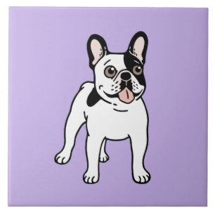 Feliz e divertimento único Frenchie Pied