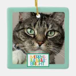 Feliz e Ornamento de Foto Brilhante