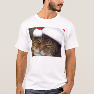 Feliz Gato de Natal Com Camisa De Chapéu De Santa