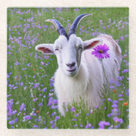 Feliz Goat
