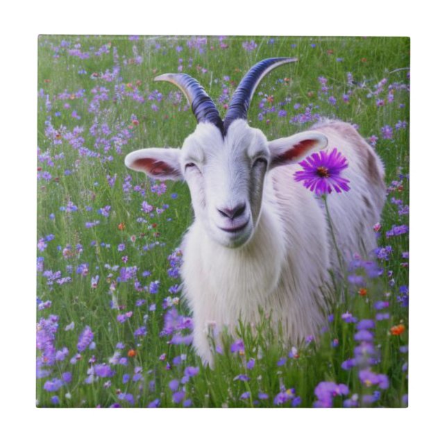 Feliz Goat (Frente)