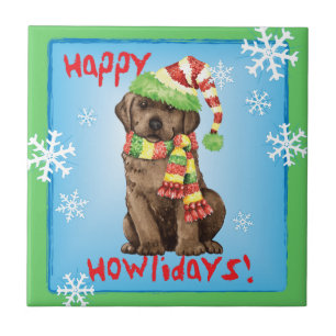 Feliz Howlidays, Laboratório de Chocolate