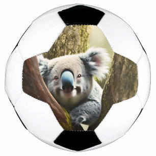 Feliz Koala Australiano Em Árvore, Bola De Futebol