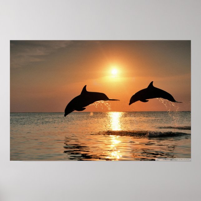 Feliz Muro de Manhã Poster (Frente)