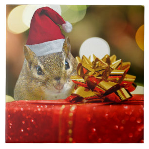 Feliz Natal bonito do Chipmunk