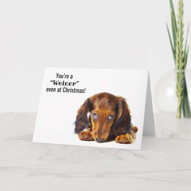 Feliz Natal Cartão de Feriado de Cão de Dachshund (Frente)