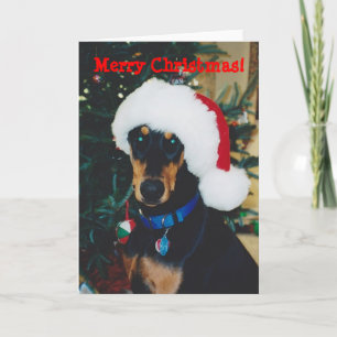 Feliz Natal! Cartão de Saudação Doberman