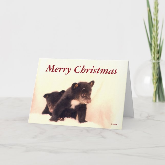 Feliz Natal - Cartão de Saudação Lakota e Paiute (Frente)