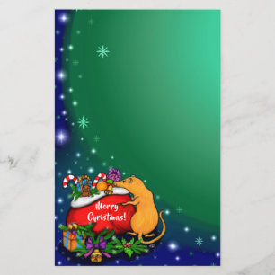 Feliz Natal com Rat Prince