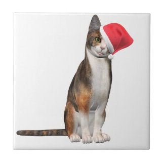 Feliz Natal com um gato brincalhão num chapéu
