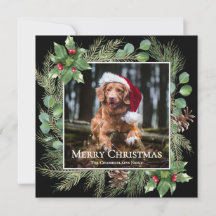 Feliz Natal Coroa de Fotos de Animais de Estimação