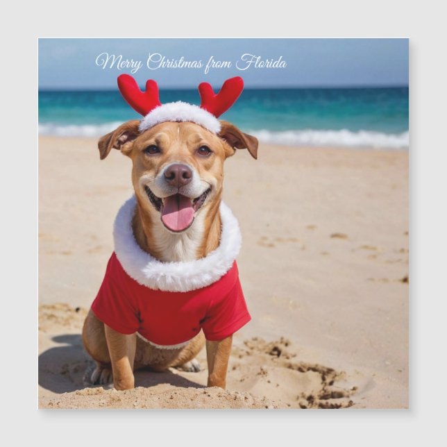 Feliz Natal da Praia da Flórida (Frente)