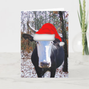 Feliz Natal do Cartão Engraçado de Vaca Heifer